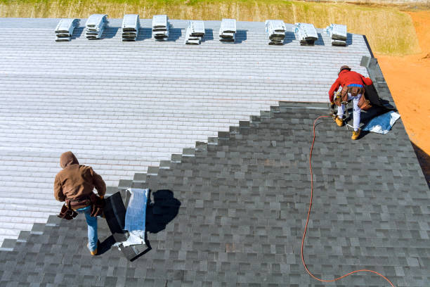 Best Roof Gutter Cleaning  in Sylvester, GA