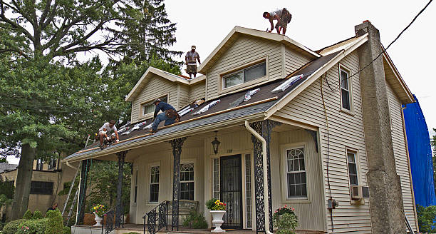 Best Storm Damage Roof Repair  in Sylvester, GA